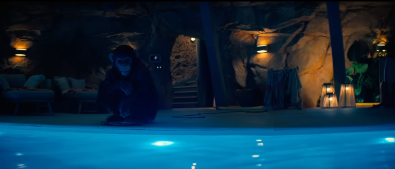 chimp in the movie primate